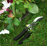 Pruning Shears